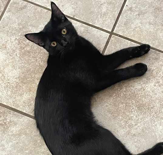 Photo of Jag