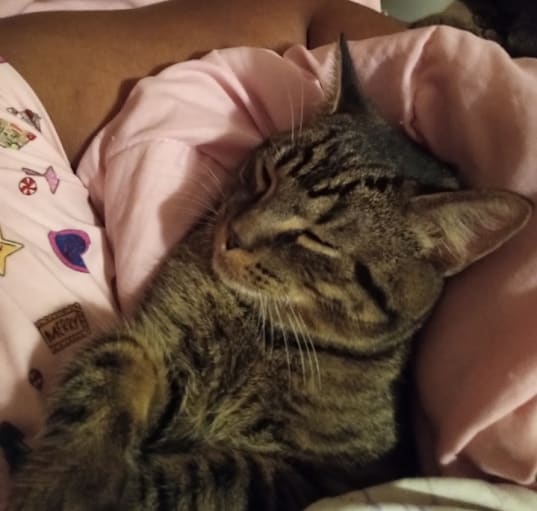 Photo of Coco