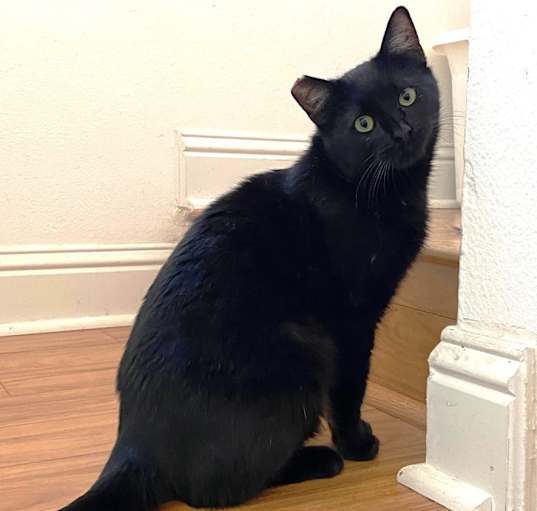 Photo of Jazmine
