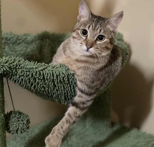 Photo of Kat