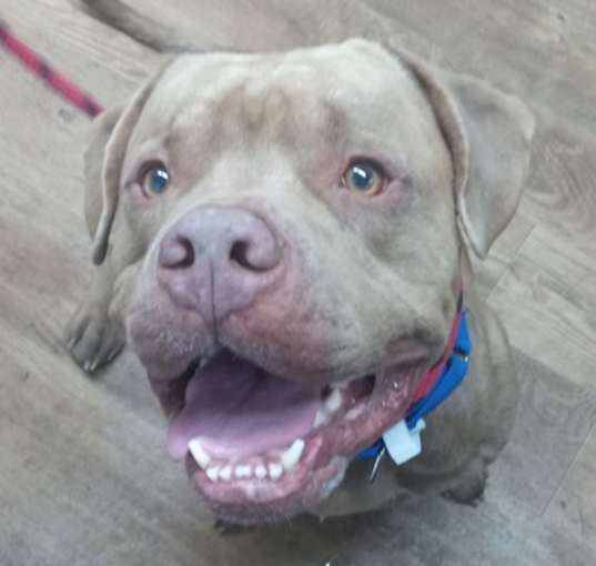 Photo of Jameson