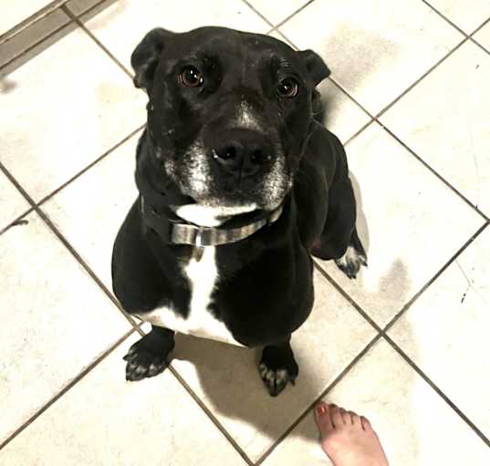 Photo of LOLA