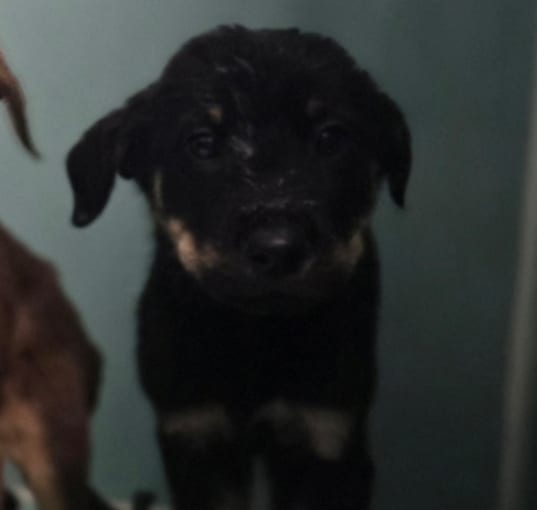 Photo of Aang