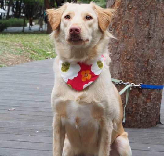 Photo of Molly