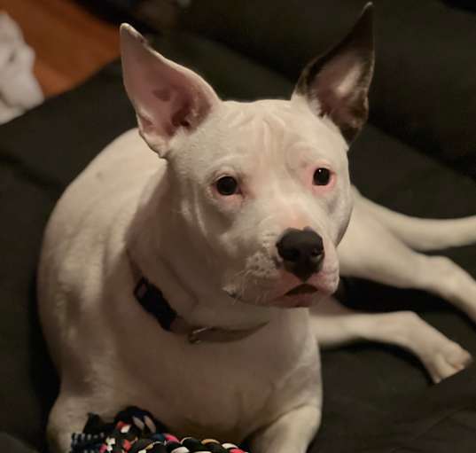 Photo of Penelope