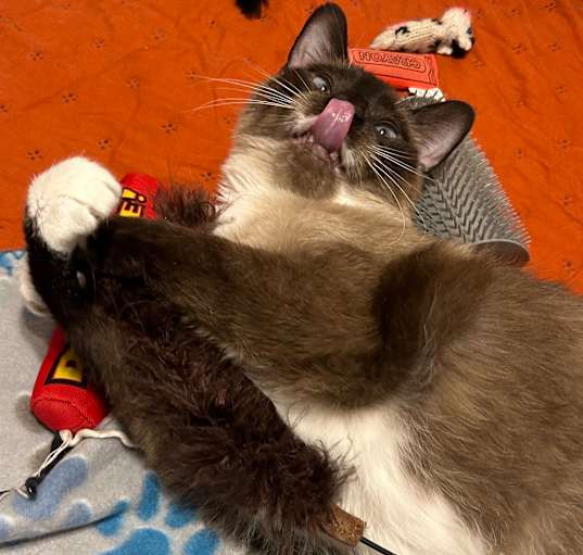 Photo of Ms. Xena