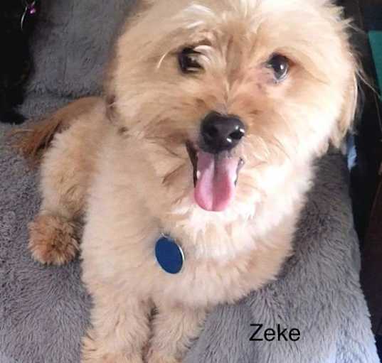 Photo of Zeke