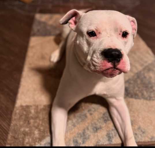 Photo of Diamond