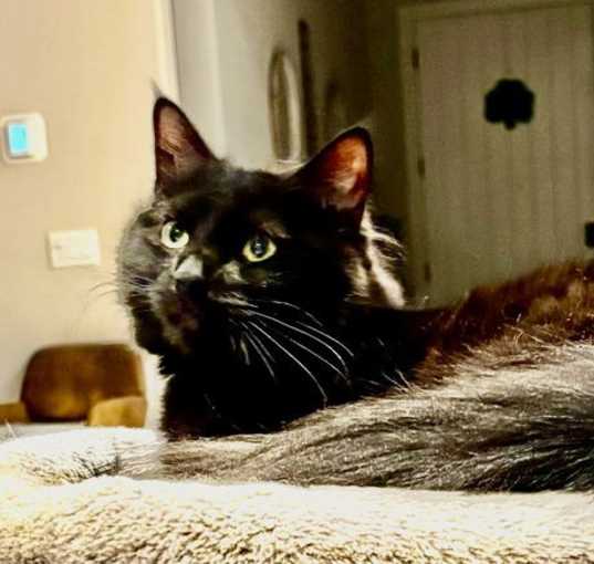 Photo of Winnie