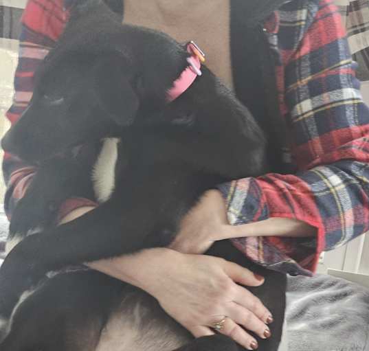 Photo of Misty
