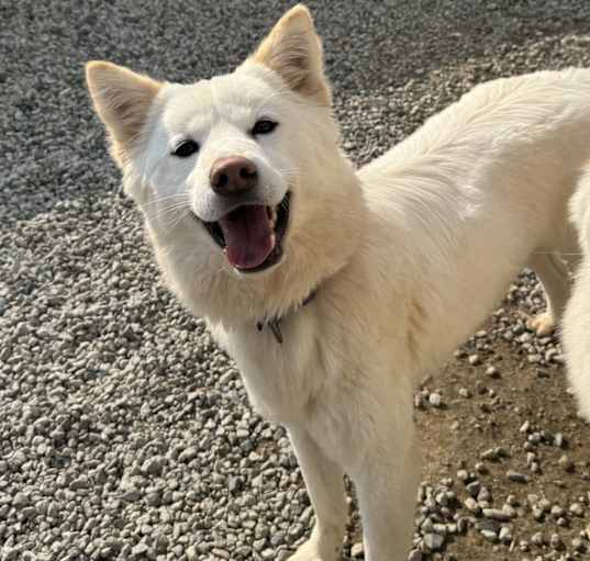 Photo of Yuel