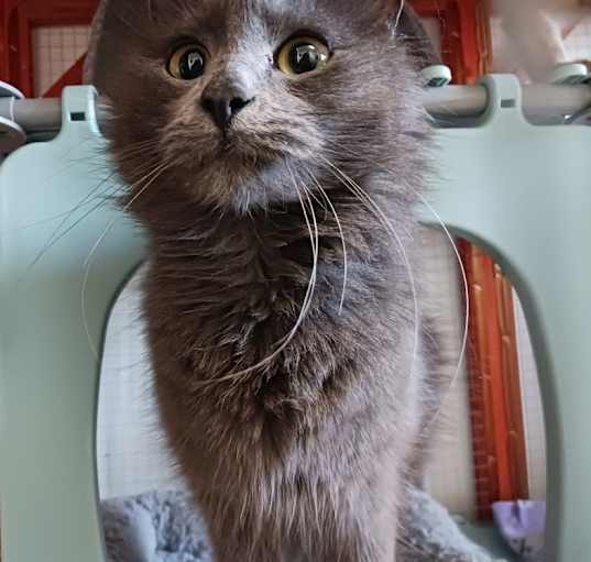 Photo of Anastasia