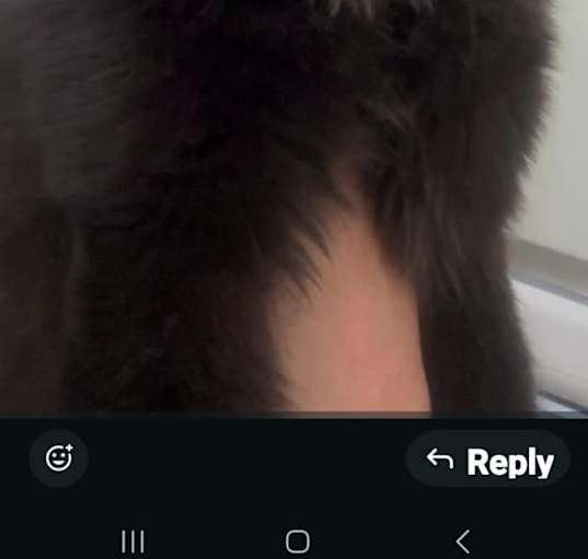 Photo of NALA