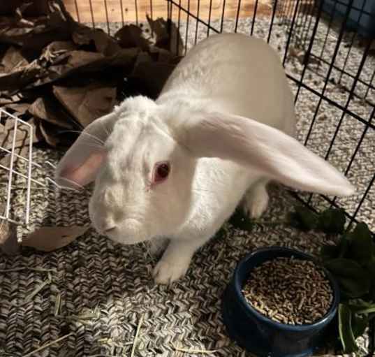 Photo of Lara