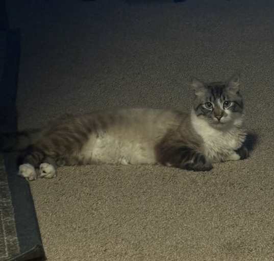 Photo of Melo