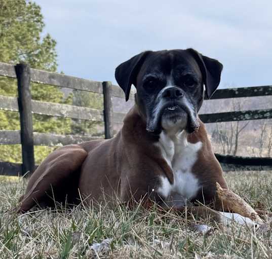 Photo of Brady