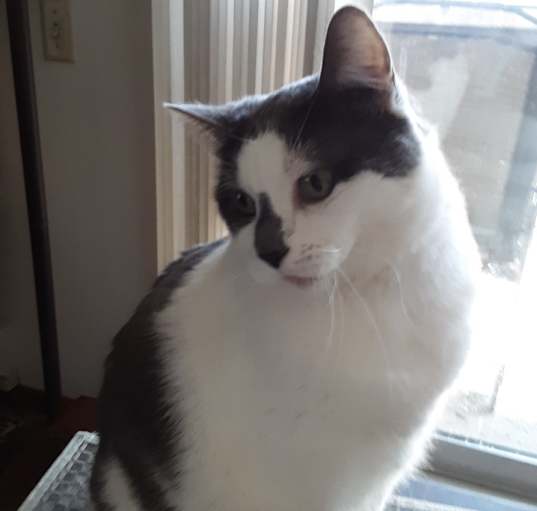 Photo of Sammy