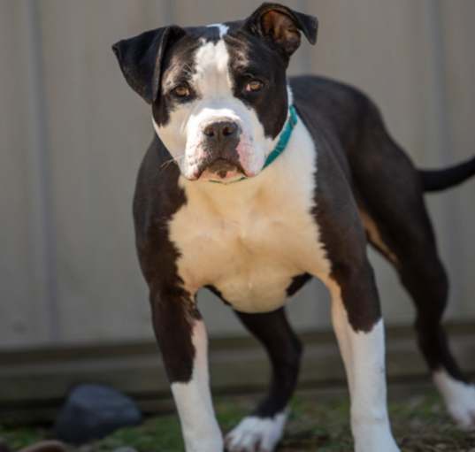 Photo of Coop