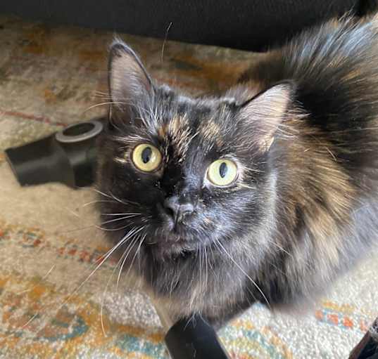 Photo of Nya