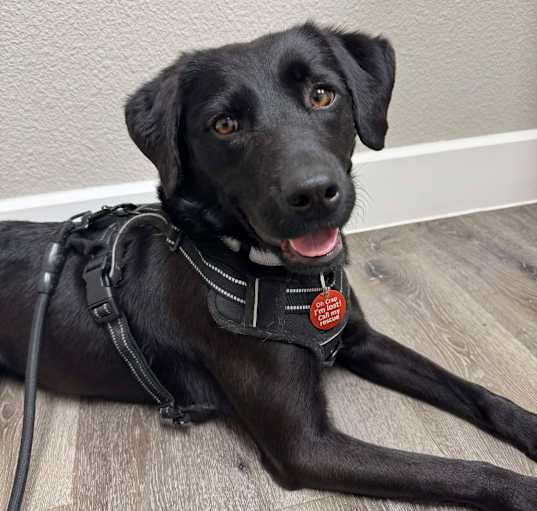 Photo of Clover