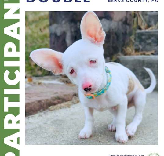 Photo of Double