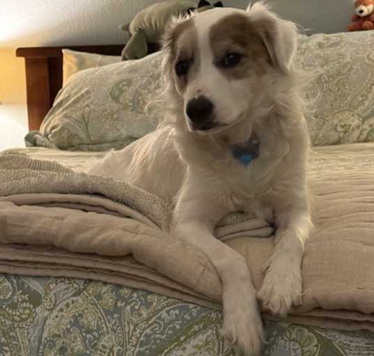 Photo of Kibbie