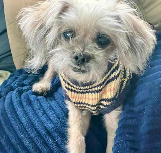 Photo of Buttons