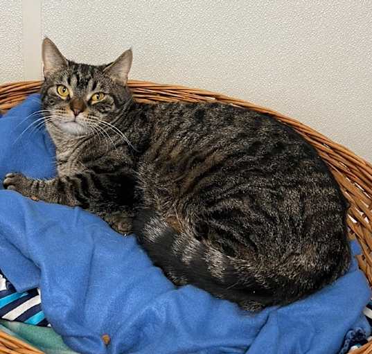 Photo of Frankie