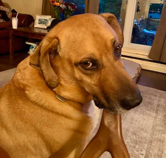 Photo of Jinx