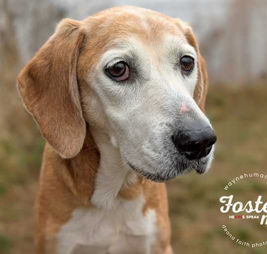 Photo of Jolene