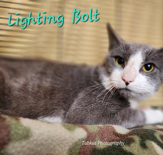 Photo of Lightning Bolt