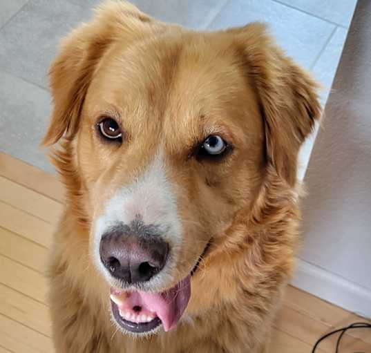 Photo of Ernie
