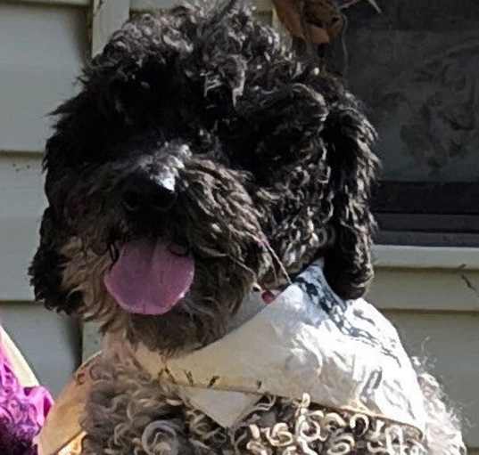 Photo of Smokie