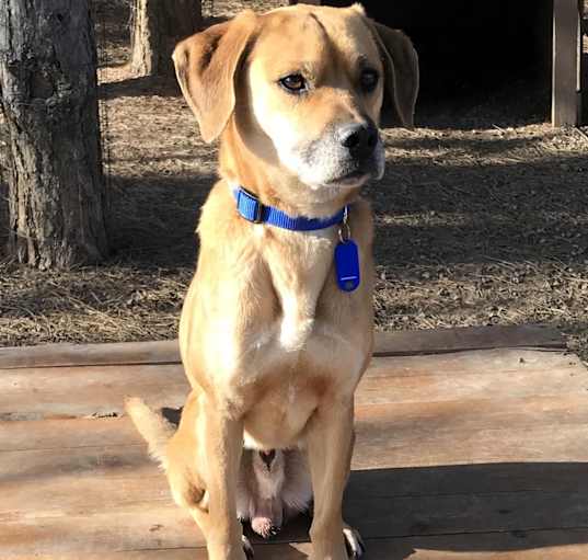 Photo of Baxter