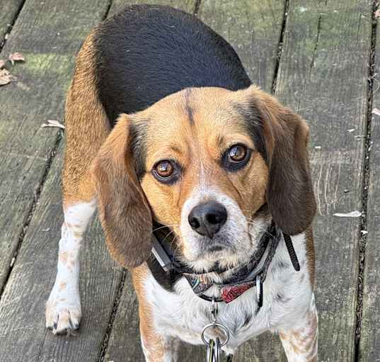 Photo of Jack