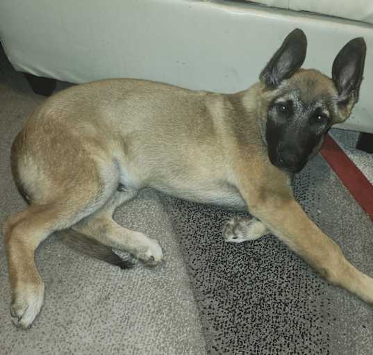 Photo of Duke