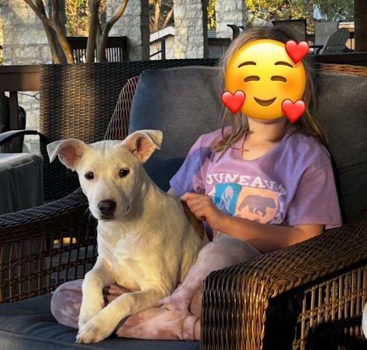 Photo of Amalia