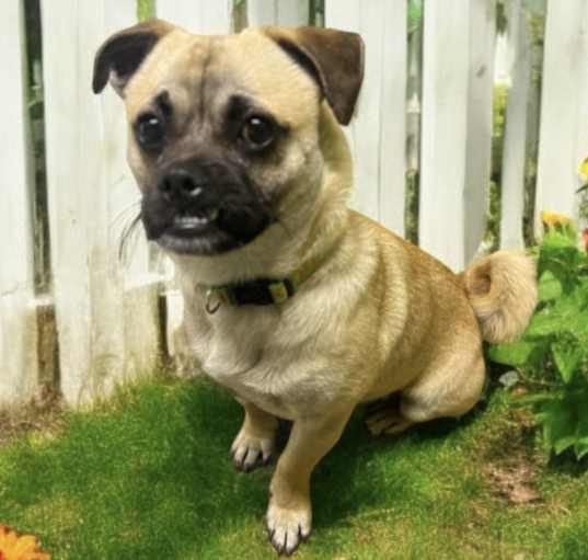 Photo of Charlie