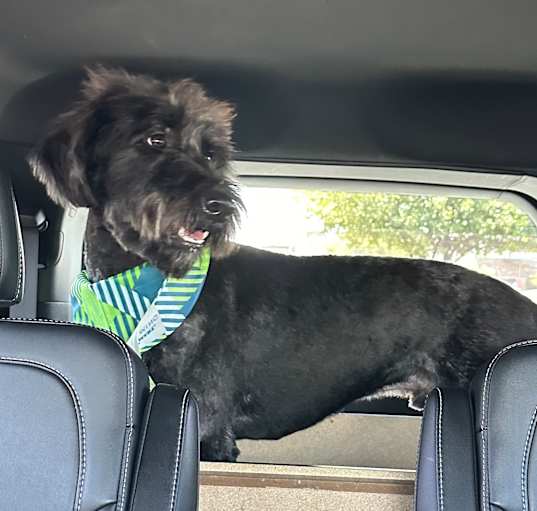 Photo of Charlie