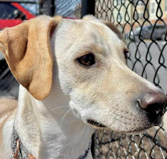 Photo of Baxter