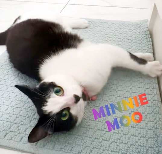 Photo of Minnie Moo #love-machine