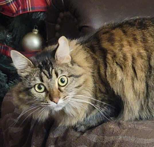 Photo of Phobe