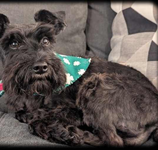 Photo of Sikey