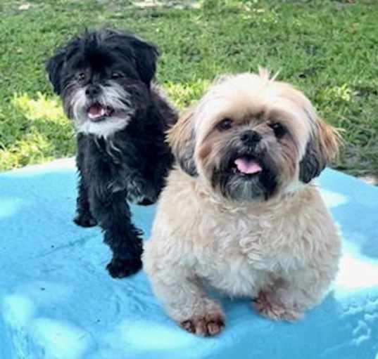 Photo of Ruffles & Truffles