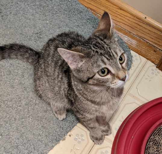 Photo of Marty