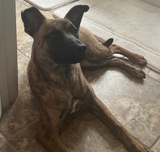 Photo of Arya