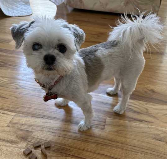 Photo of Audrey