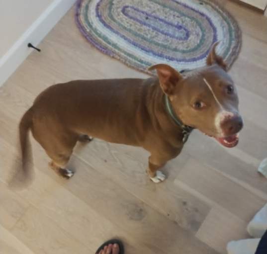 Photo of Riot