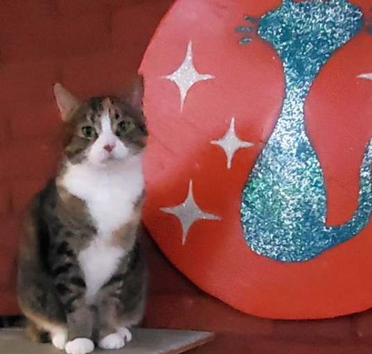Photo of Diva