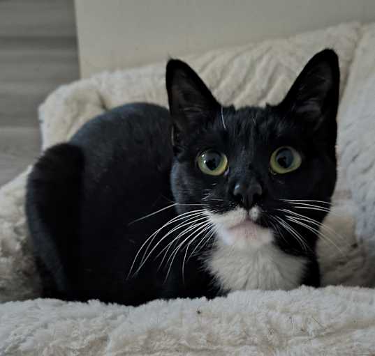 Photo of Gigi